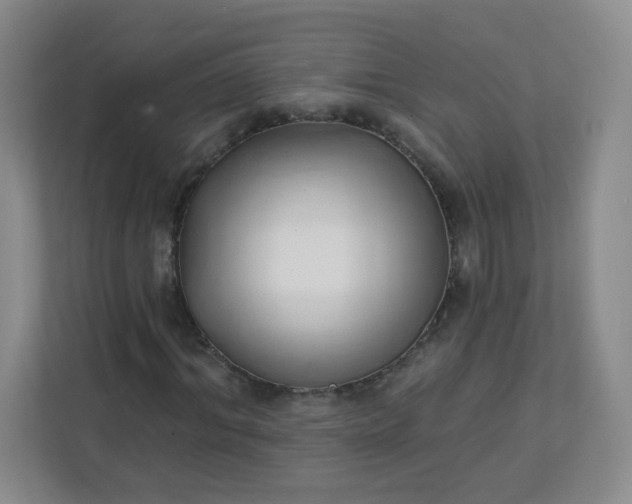 X0000113320964200909281204