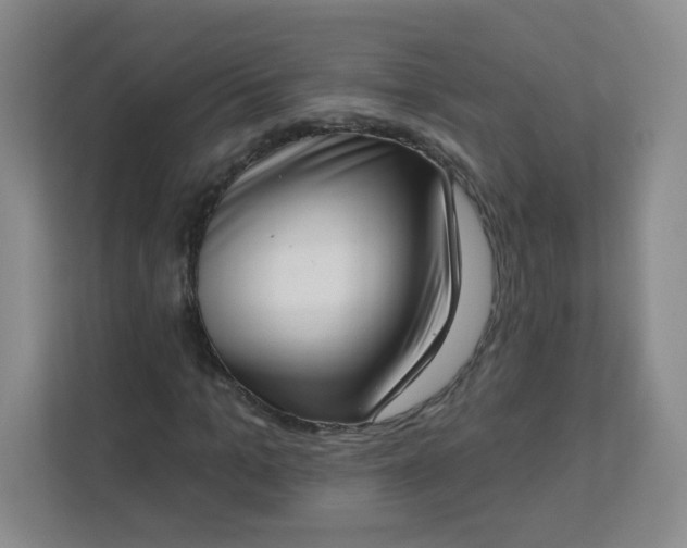 X0000113320965200909281204