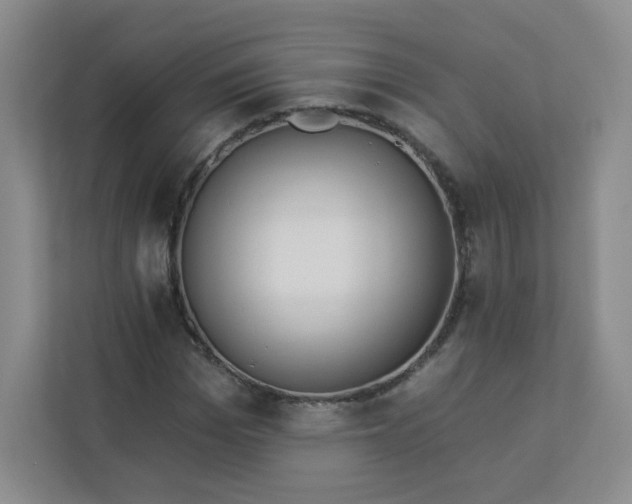 X0000113320969200909281204