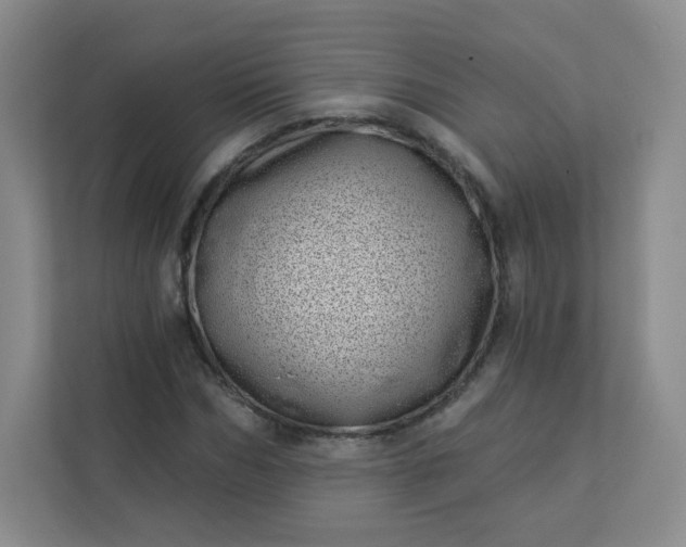 X0000113320970200909281204