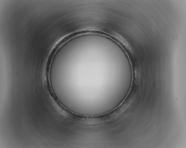 X0000113320972200909281204