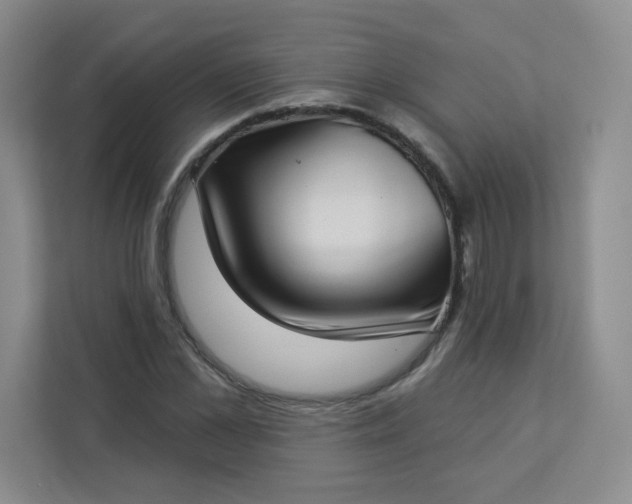 X0000113320973200909281204