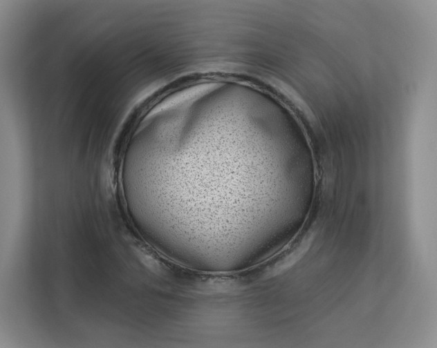 X0000113320974200909281204