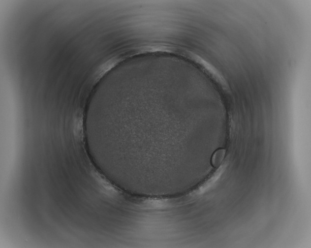 X0000113320977200909281204