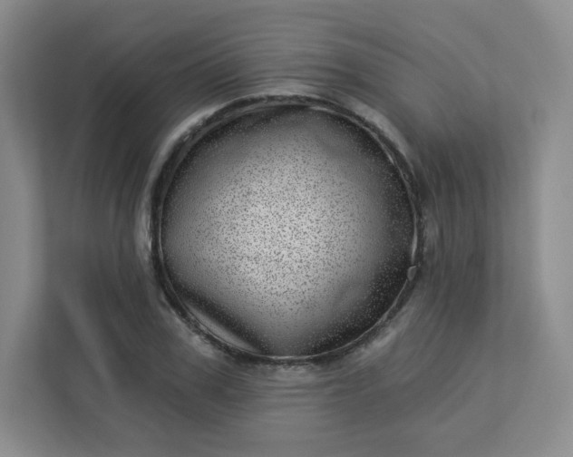 X0000113320979200909281204