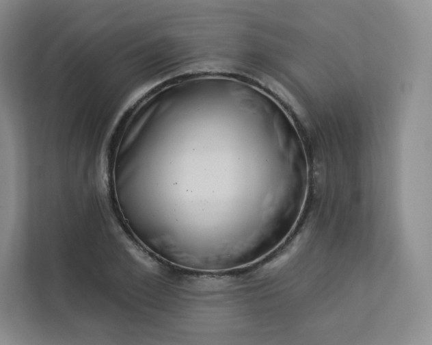 X0000113320981200909281204