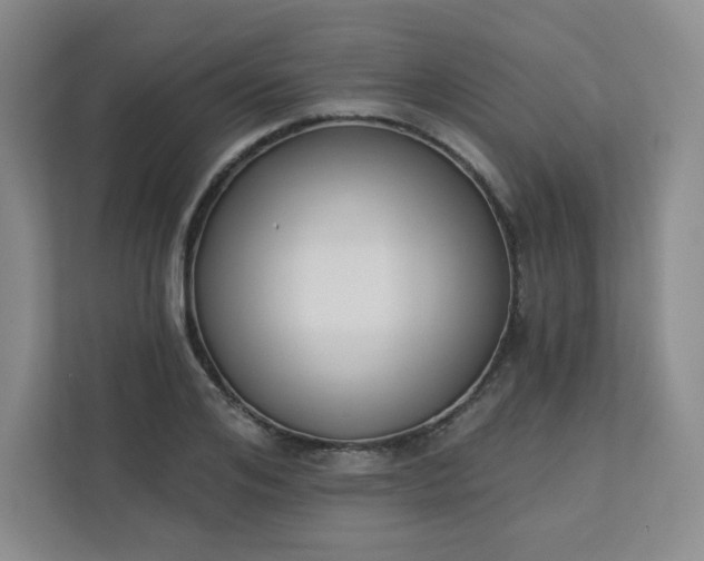 X0000113320984200909281204