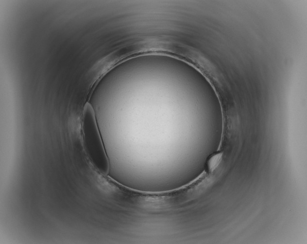 X0000113320985200909281204