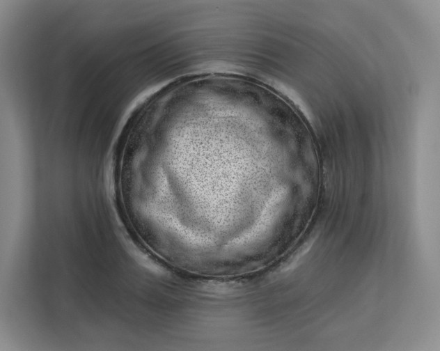 X0000113320987200909281204