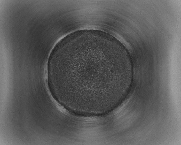 X0000113320988200909281204