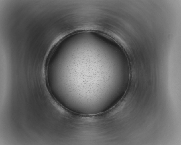 X0000113320990200909281204