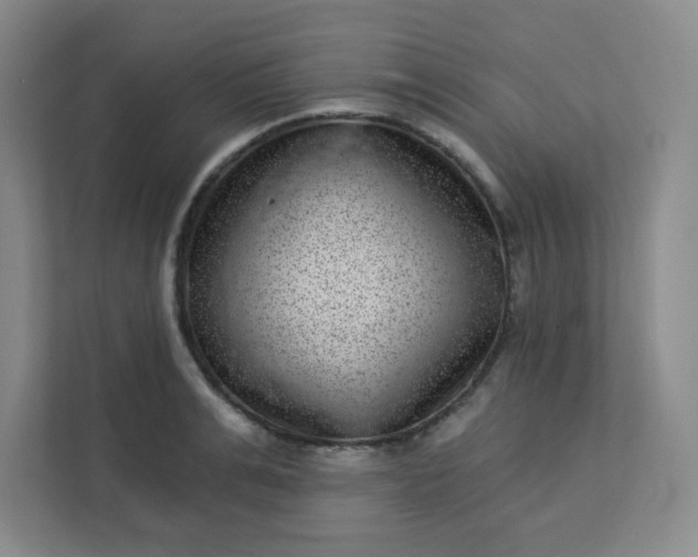 X0000113320991200909281204