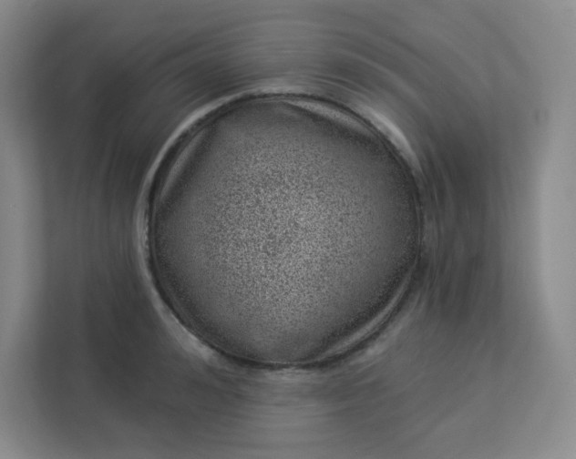 X0000113320992200909281204