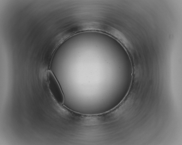 X0000113320993200909281204