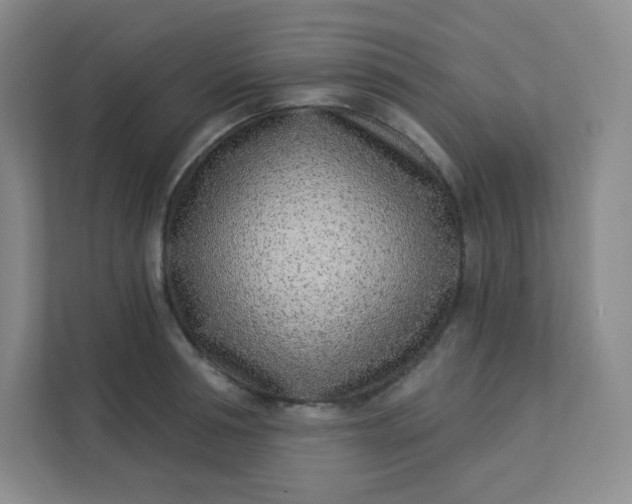 X0000113320994200909281204