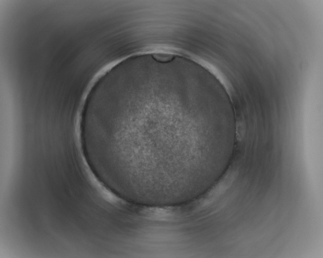 X0000113320995200909281203