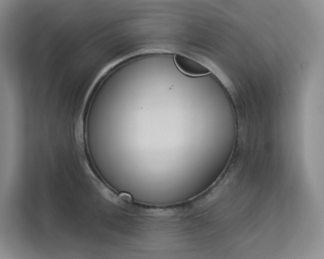 X0000113320996200909281203