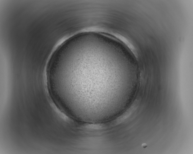 X0000113320998200909281203