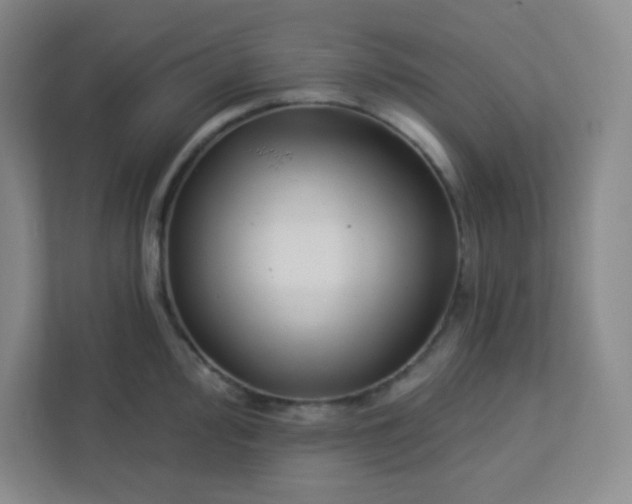 X0000113321000200909281203