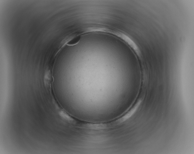 X0000113321001200909281203