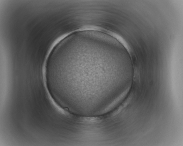 X0000113321003200909281203