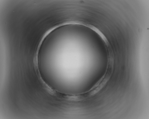 X0000113321004200909281203