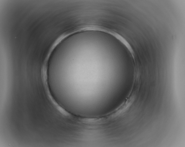 X0000113321005200909281203