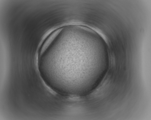 X0000113321006200909281203