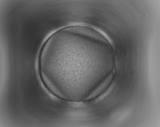 X0000113321007200909281203