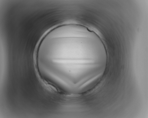 X0000113321008200909281203