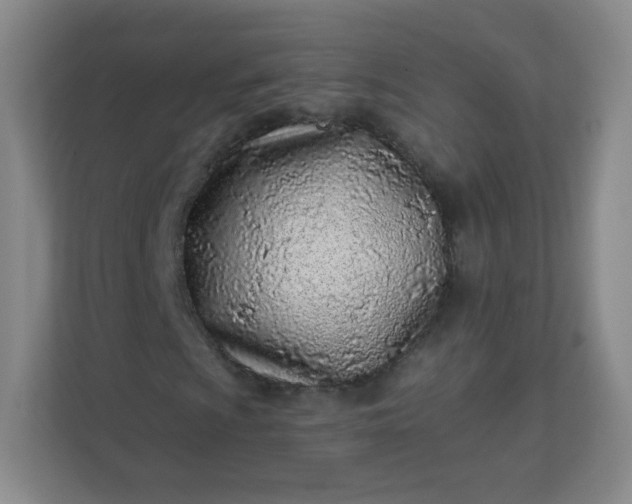 X0000113321009200909281203