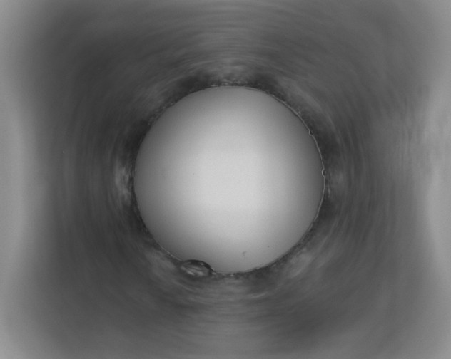 X0000113321010200909281203