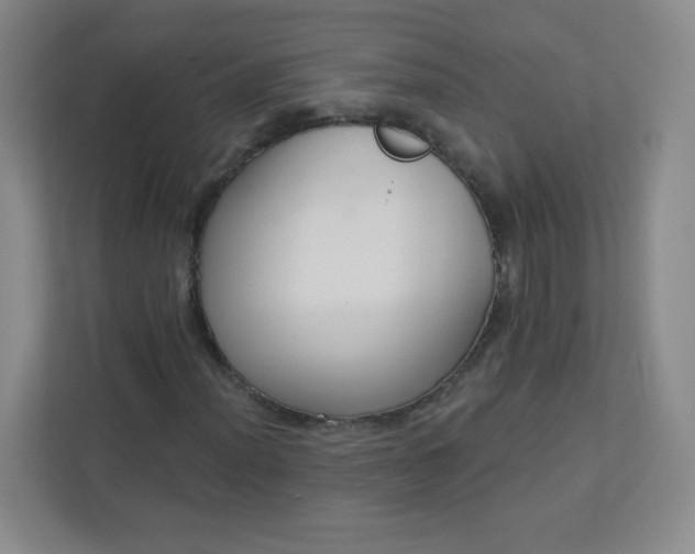 X0000113321012200909281203