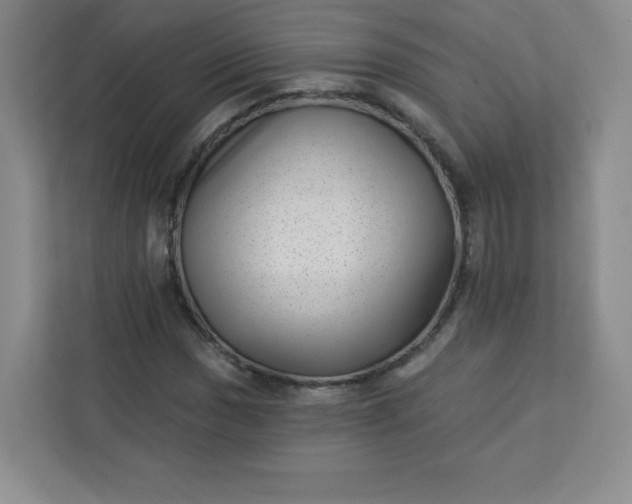 X0000113321017200909281203