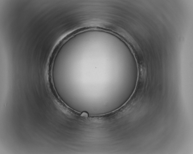 X0000113321020200909281203