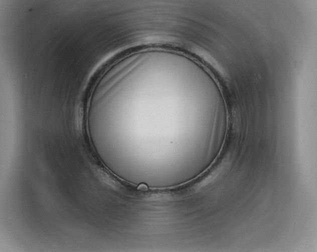 X0000113321021200909281203