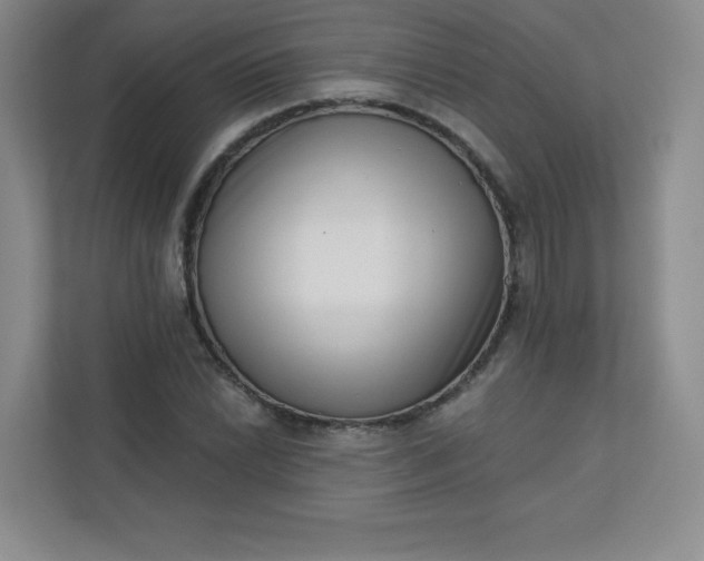 X0000113321022200909281203