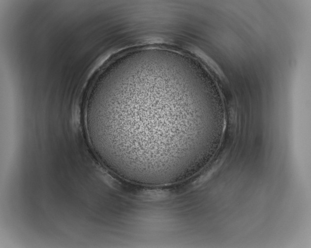 X0000113321023200909281203