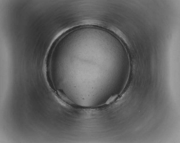 X0000113321024200909281203