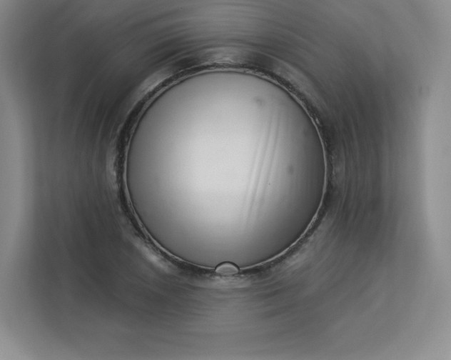 X0000113321026200909281203