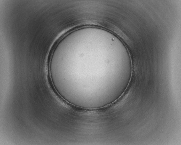 X0000113321028200909281203