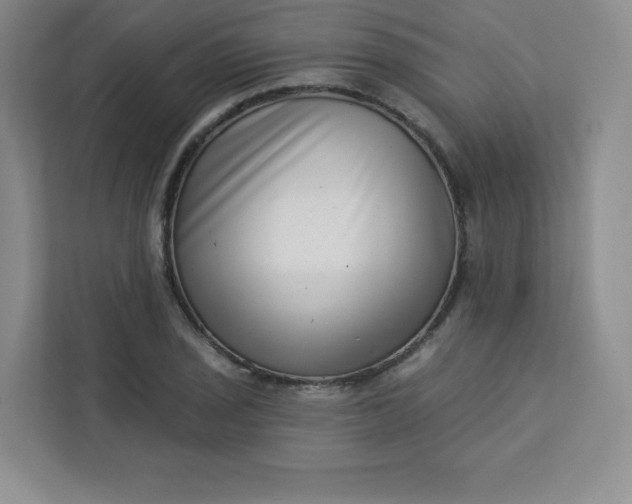 X0000113321029200909281203