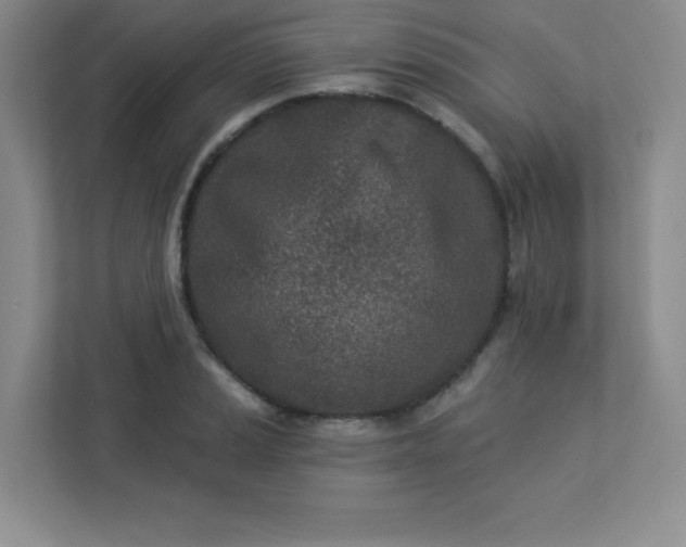 X0000113321037200909281203