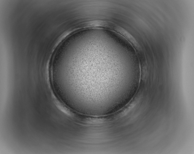 X0000113321039200909281203