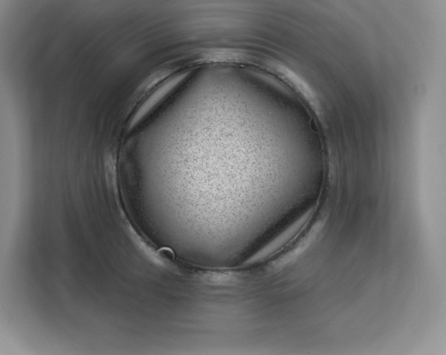 X0000113321041200909281203