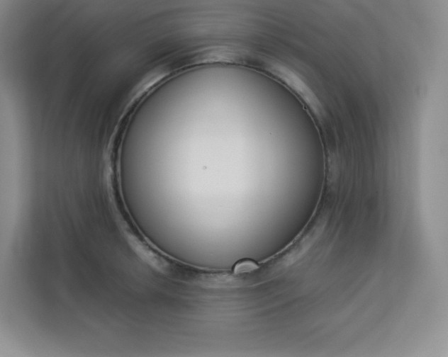 X0000113321042200909281203