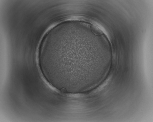 X0000113321045200909281203