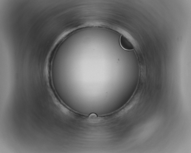 X0000113321046200909281203