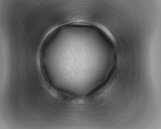 X0000113321051200909281203