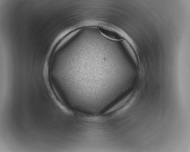 X0000113321053200909281203